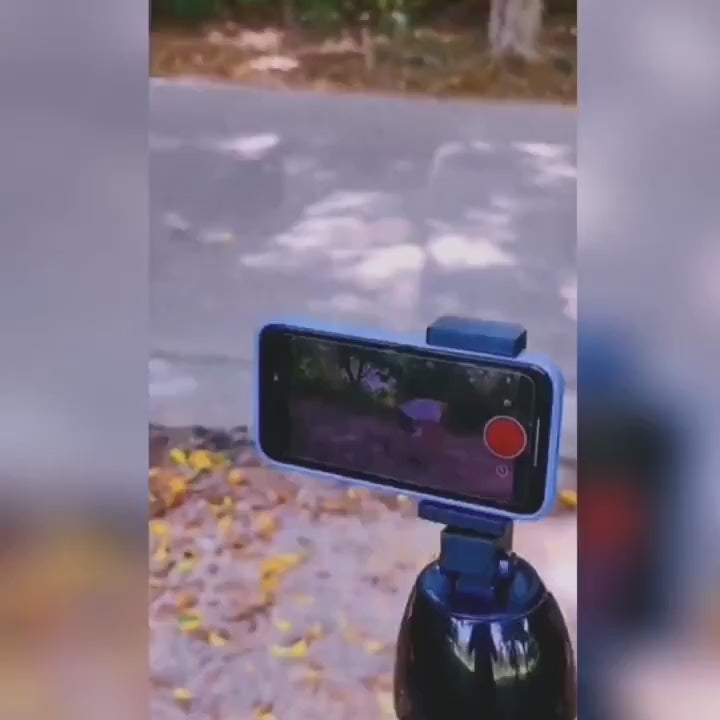 Adhesive Card Holder For Phone Kmart Cheapest Wholesalers factoryeye