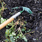 Multi Surface Weeder Long Timber Handle (7052245041304)