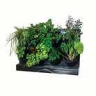 Benchtop Greenwall Vertical Garden (470x380x190mm) - 8 individual Pots (6908769632408)